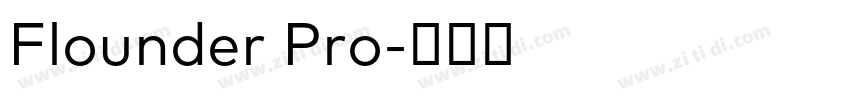 Flounder Pro字体转换